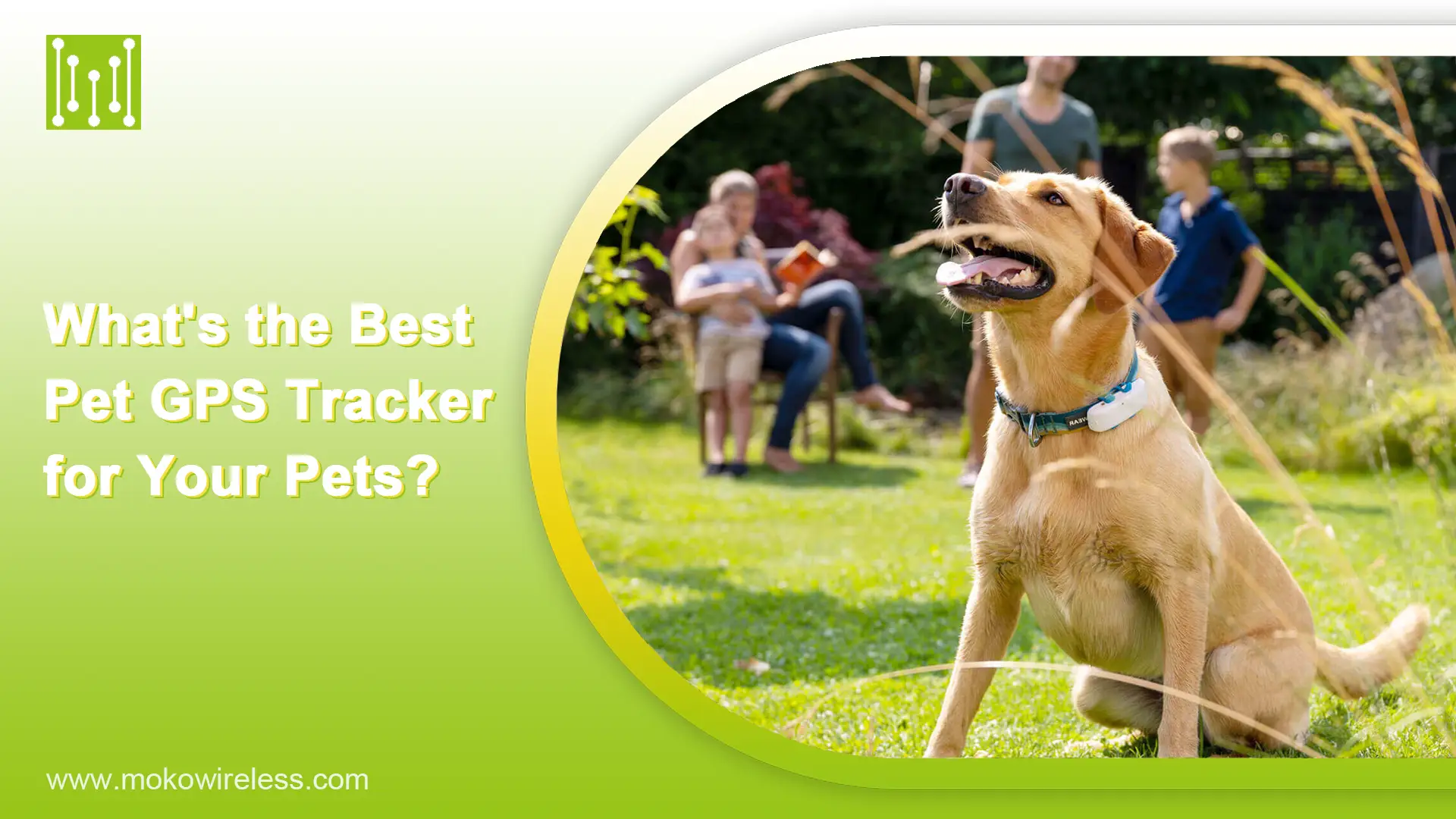 What's the Best Pet GPS Tracker for Your Pets